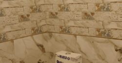 Modern 3 BHK Flat with Lift, Car Parking & Common Roof | Prime Location in Delhi